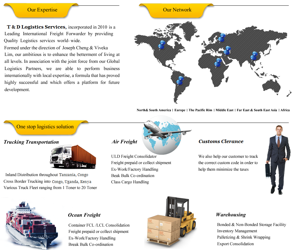 logistic company in tanzania